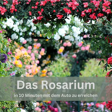 아파트 Lounge94 - Luxus Auf 180 M2