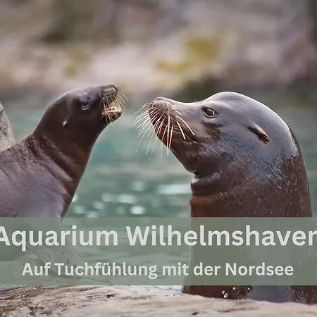 아파트 Lounge94 - Luxus Auf 180 M2 빌헬름스하펜