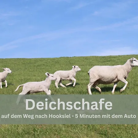 Lounge94 - Luxus Auf 180 M2 아파트 *