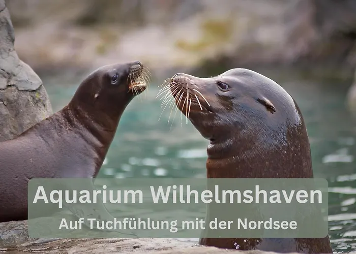 Apartmán Lounge94 - Luxus Auf 180 M2 Wilhelmshaven