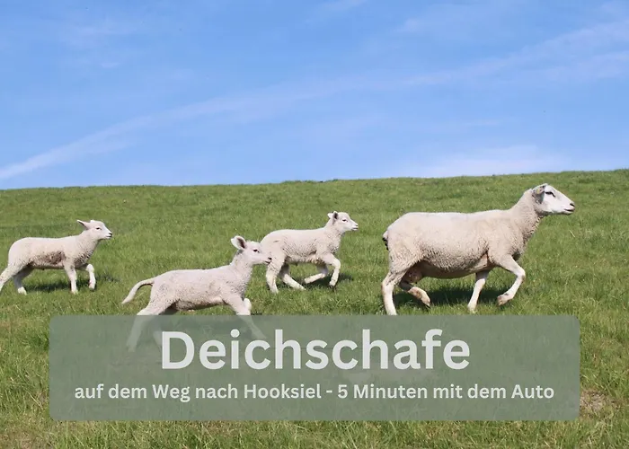 Lounge94 - Luxus Auf 180 M2 Apartmán *